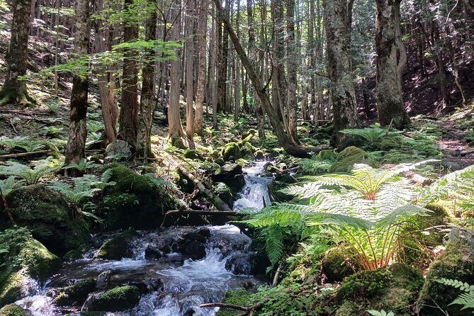 Matsumoto Mt.Hachibuse - The Trail Itinerary: What to Expect