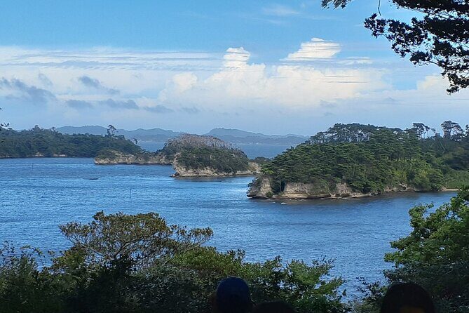 Matsushima Bay, Islands and Seafood Market day tour from Tokyo - The Itinerary Breakdown: What to Expect