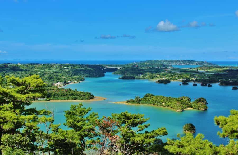 Matsushima: Scenic Bay Walk & Historic Temple Discovery - What You Can Expect from the Experience