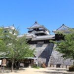 Matsuyama Half-Day Private Trip with Government-Licensed Guide - Who Should Consider This Tour?