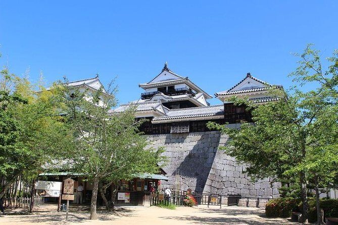 Matsuyama Half-Day Private Trip with Government-Licensed Guide - Who Should Consider This Tour?