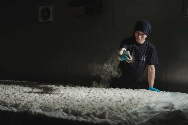 Matsuyama: Minakuchi Sake Brewery Tour with Tasting - Who Will Love This Tour?