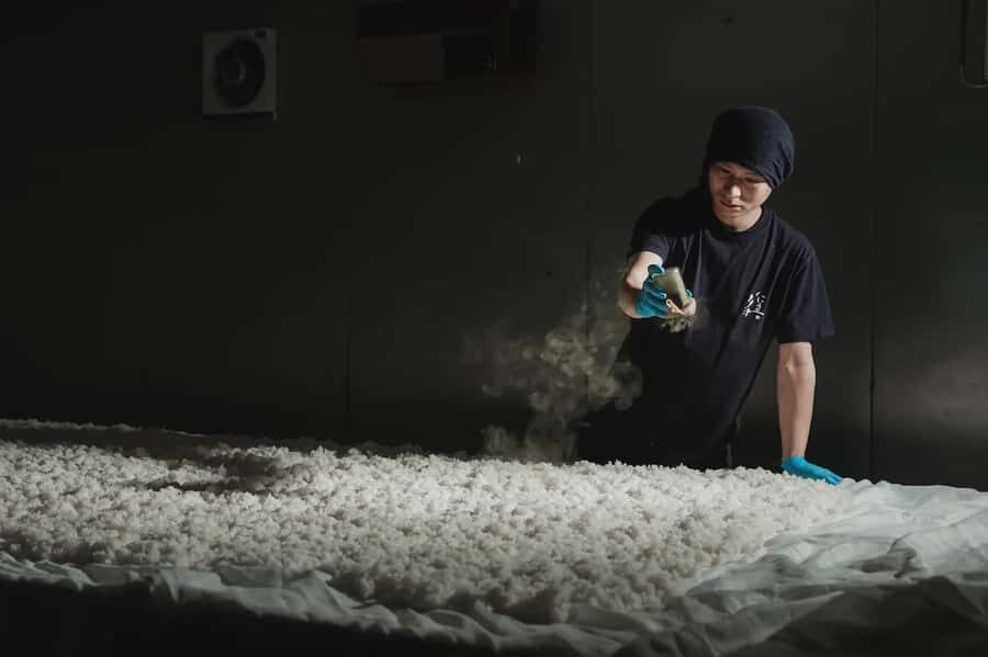 Matsuyama: Minakuchi Sake Brewery Tour with Tasting - Who Will Love This Tour?