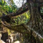 Mawlynnong: Guided Day Trip from Shillong with Hotel Pickup - An Overview of the Mawlynnong Day Trip