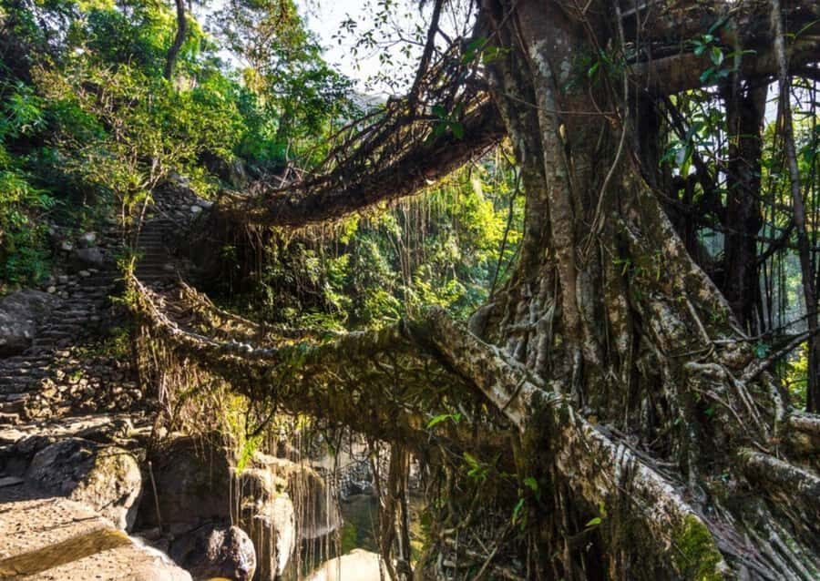 Mawlynnong: Guided Day Trip from Shillong with Hotel Pickup - An Overview of the Mawlynnong Day Trip