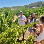 McLaren Vale Small Group Wine Tour inc d'Arenberg Cube & lunch - What Makes This Tour Special