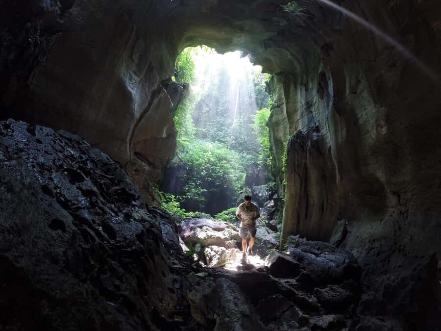 Medan: Bat Cave Exploration and Riverside Picnic - Jungle Trekking: A Green Wonderland