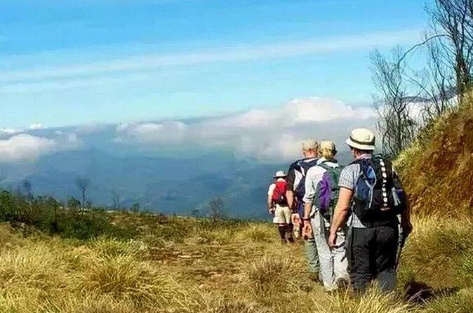Meesapulimalai Trekking 'the second highest peak in South India' - Private Tour - Final Thoughts