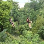 MegaZip Adventure Ride Jungle Beach & Sea Experience |Singapore - The Value of the Experience