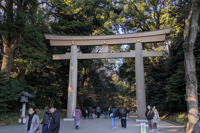 Meiji Jingu Shrine and Park Tour - Pricing and Value