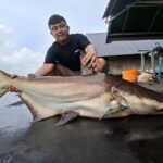Mekong Catfish and Siamese Carp Fishing Guarantee Good Fishing - Fishing Experience: Quality and Authenticity