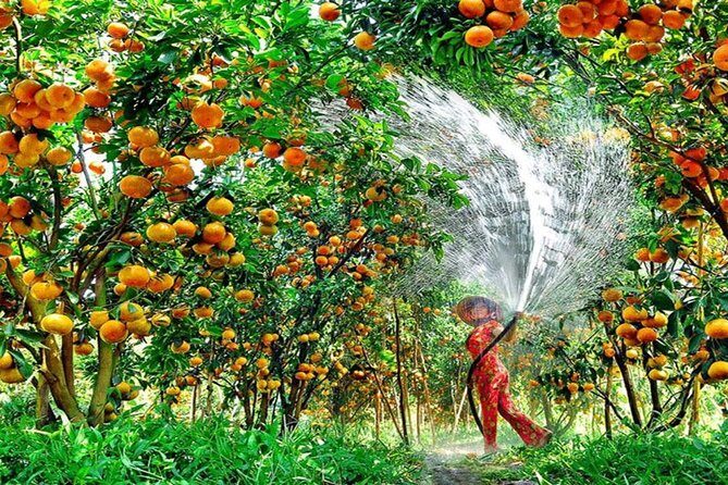 Mekong Delta 1 Day Tour - An In-Depth Look at the Itinerary