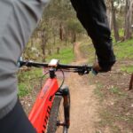 Melbourne: 1-Day Mountain Biking Adventure with Lunch - What Makes This Tour Stand Out?