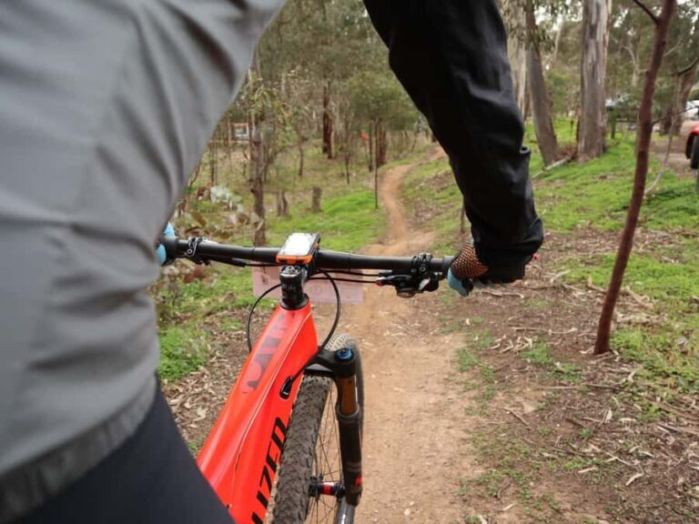 Melbourne: 1-Day Mountain Biking Adventure with Lunch - What Makes This Tour Stand Out?