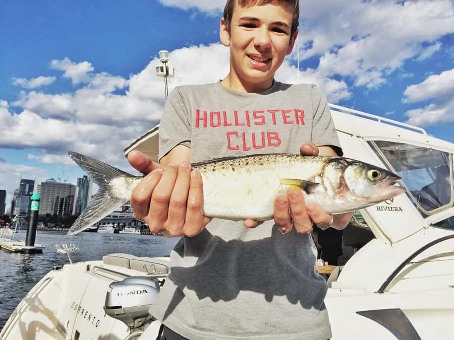 Melbourne: A Private Day Tour on a Sports Yacht on the Bay - The Thrill of High-Speed Cruising