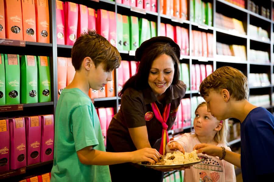 Melbourne: Lake Mountain Snow & Waterfalls Guided Tour - What It Means for Travelers