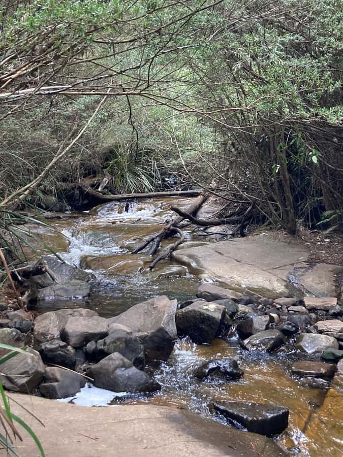 Melbourne: Marysville Day Trip with Healesville Sanctuary - Transportation, Price, and Value