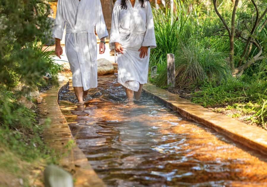 Melbourne: Peninsula Hot Springs with Lunch and Wine - Green Olive Estate: Gourmet Lunch and Wine Tasting