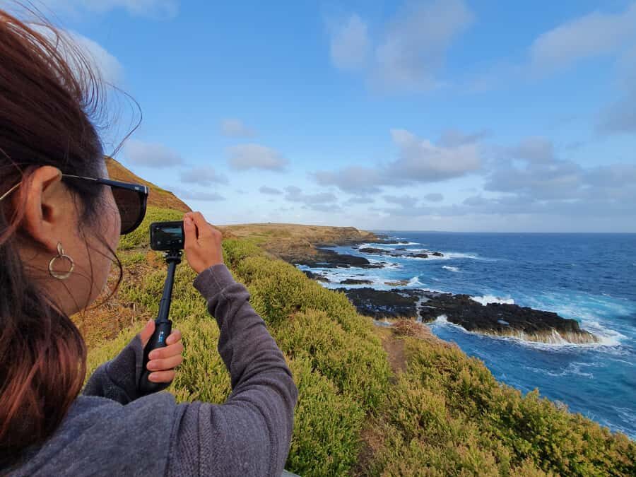 Melbourne: Phillip Island Penguins, Koalas & Hike Tour - What You Can Expect from the Tour