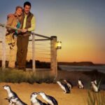 Melbourne: Phillip Island Tour with Koalas & Penguins - In-Depth Review of the Itinerary