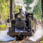 Melbourne Puffing Billy & Penguins Day Tour - Transportation & Group Size