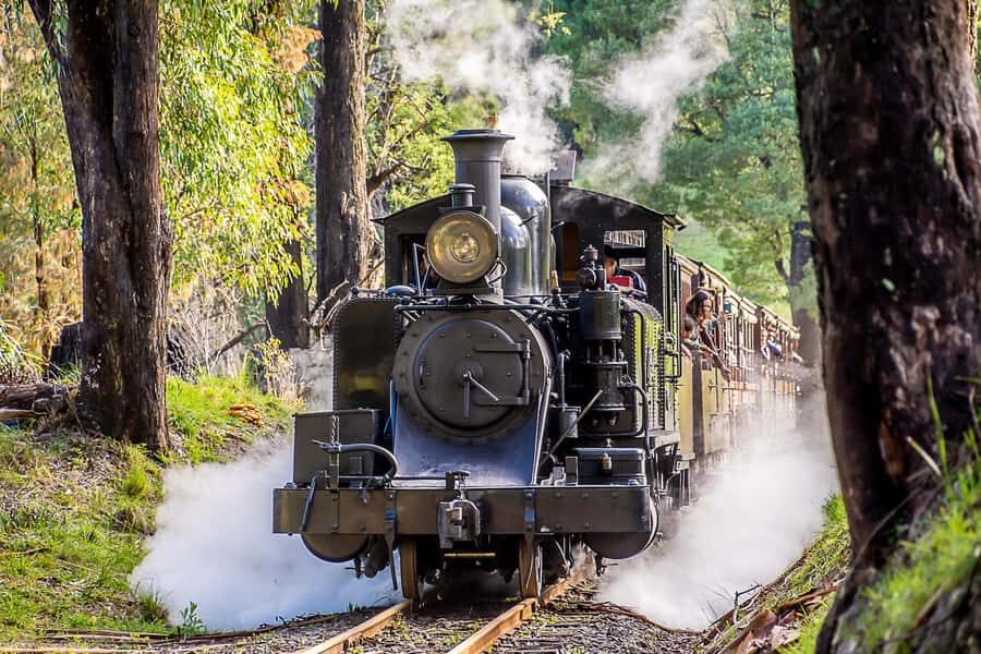 Melbourne Puffing Billy & Penguins Day Tour - Transportation & Group Size