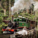 Melbourne: Puffing Billy Train & Penguin Parade Adventure - Value and Practical Considerations