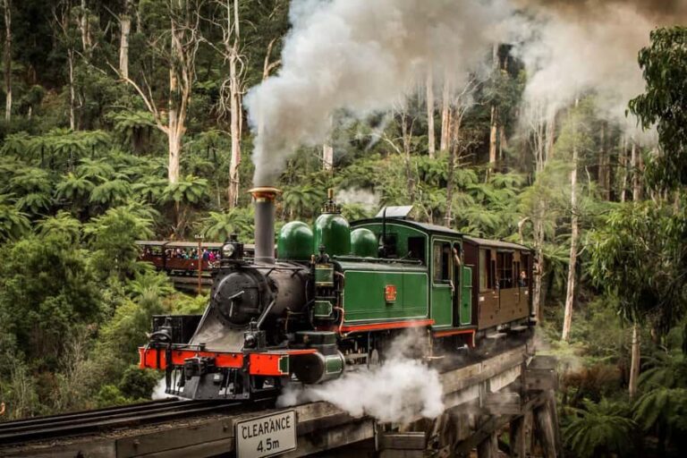 Melbourne: Puffing Billy Train & Penguin Parade Adventure - Value and Practical Considerations