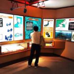 Mie: Mikimoto Pearl Island and the Birth of Cultured Pearls - The Experience: What to Expect from Start to Finish