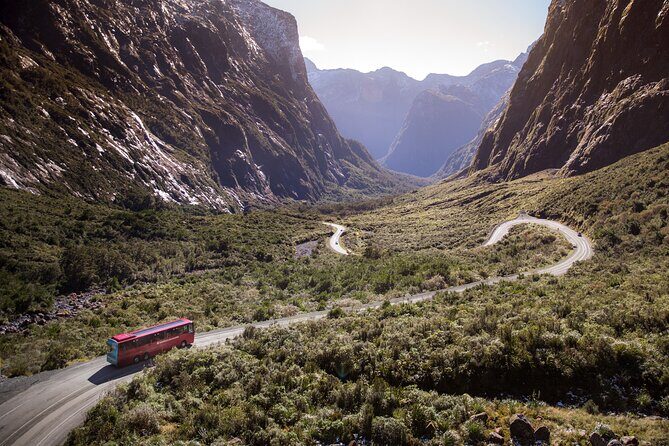 Milford Sound Coach and Extended Cruise from Te Anau - What Makes This Tour Stand Out?
