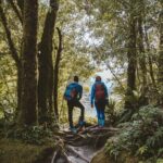 Milford Sound Nature Cruise and Self-Guided Scenic Track Walk - Why This Tour Is a Great Choice