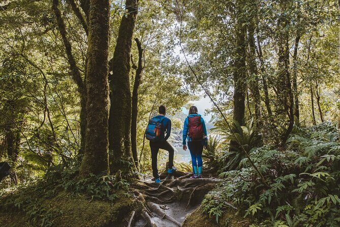 Milford Sound Nature Cruise and Self-Guided Scenic Track Walk - Why This Tour Is a Great Choice