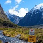 Milford Sound Small Group Day Tour From Queenstown - Analyzing the Price and Value