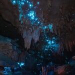 Milkyway Glowworm Cave Tour from Auckland Port - Authentic Experiences and Hidden Gems