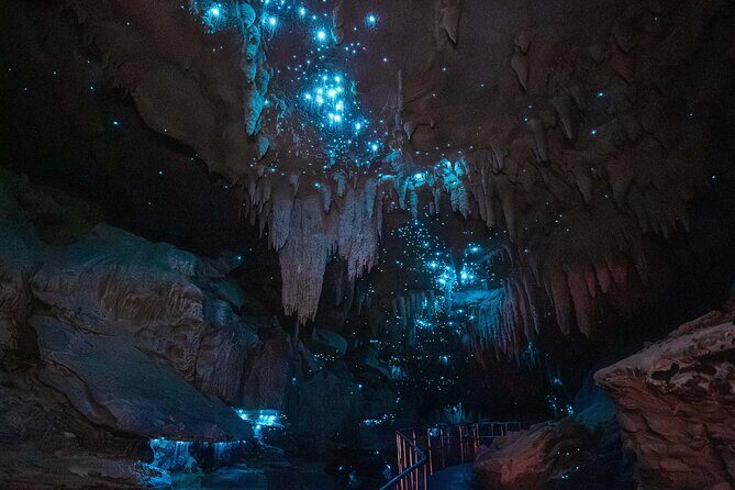 Milkyway Glowworm Cave Tour from Auckland Port - Authentic Experiences and Hidden Gems