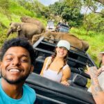 Minneriya Elephant Safari with Driver and Guide - Insights From Past Travelers