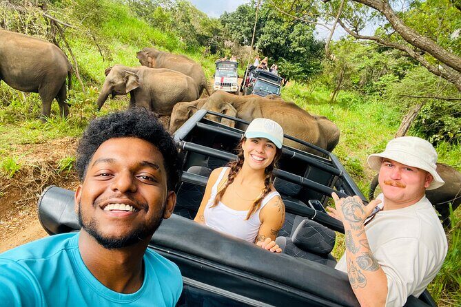 Minneriya Elephant Safari with Driver and Guide - Insights From Past Travelers