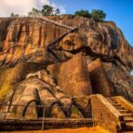 Minneriya National Park ( All Inclusive ) and Sigiriya Day Excursion - Cost vs. Value