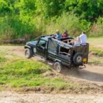 Minneriya National Park Entrance Ticket with Private Safari - Authentic Experiences and Insider Insights
