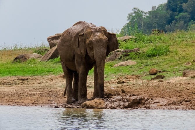 Minneriya National Park Safari from Polonnaruwa - Exploring the Itinerary in Detail