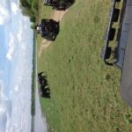 Minneriya National Park Safari Tour From Dambulla or Polonnaruwa - What to Expect from the Itinerary