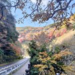 Minoh Falls & Katsuoji Temple Half Day E-Bike Tour - Exploring Osaka’s Natural Gems on Two Wheels