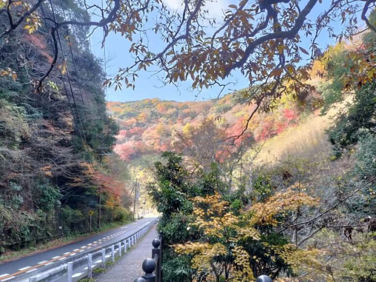 Minoh Falls & Katsuoji Temple Half Day E-Bike Tour - Exploring Osaka’s Natural Gems on Two Wheels