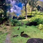 Mirimiri Tours - Is This Tour Worth Its Price?