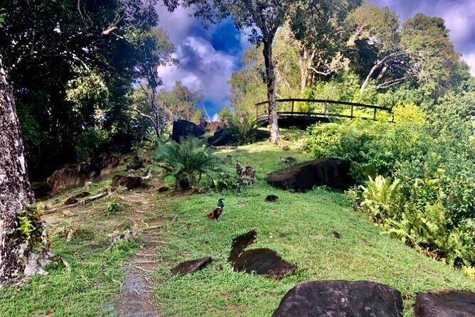 Mirimiri Tours - Is This Tour Worth Its Price?