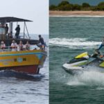 Mirissa: All Inclusive Whale Watching + Jet Ski Ride - The Value and Practicalities