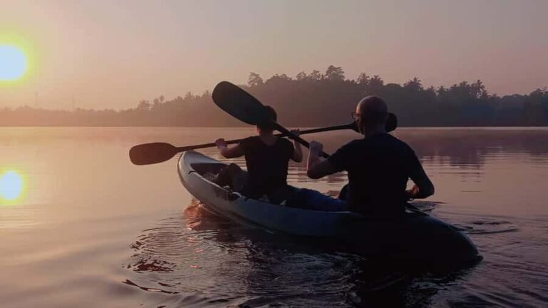 Mirissa: Kayak Safari Adventure Through Mangrove - Key Points