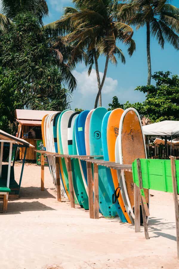 Mirissa or kalpitiya surf camp tour for beginners & experts - Who Will Love This Experience?