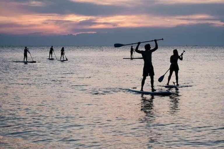 Mirissa: Paddle Boarding Experience - The Experience Itself: A Closer Look