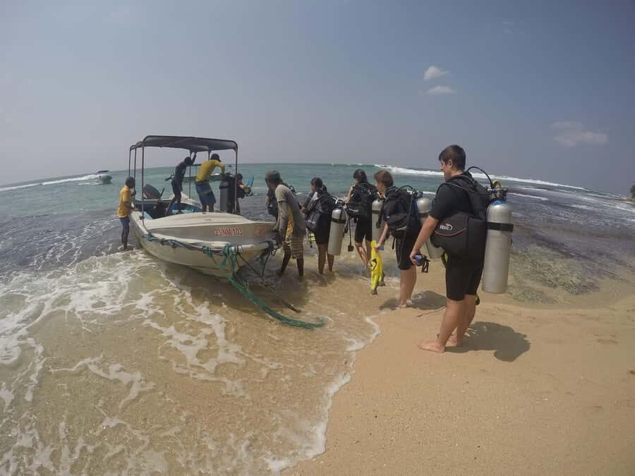 Mirissa: Scuba Diving & Shipwreck Dives for All Levels - The Itinerary Breakdown: What Makes Each Part of this Tour Special